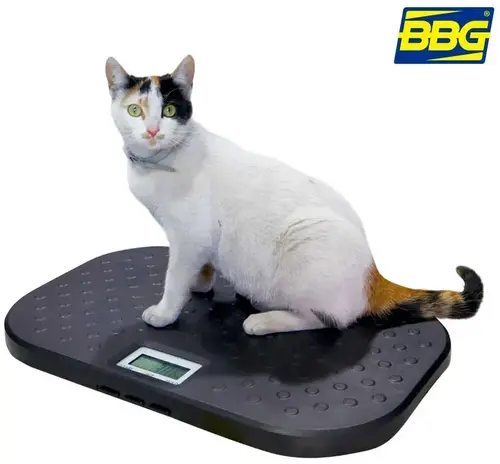 Imagen de BASCULA PARA VETERINARIAS PET-40